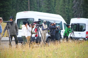 training group viewing wildlife through spotting scopes on side of road