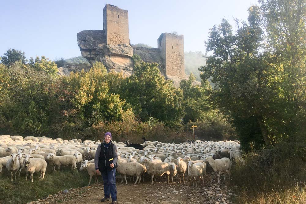 woman, sheep and castle