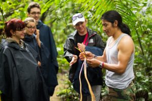 a tour guide shows parts of a tree to a group of tourists in ponchos
