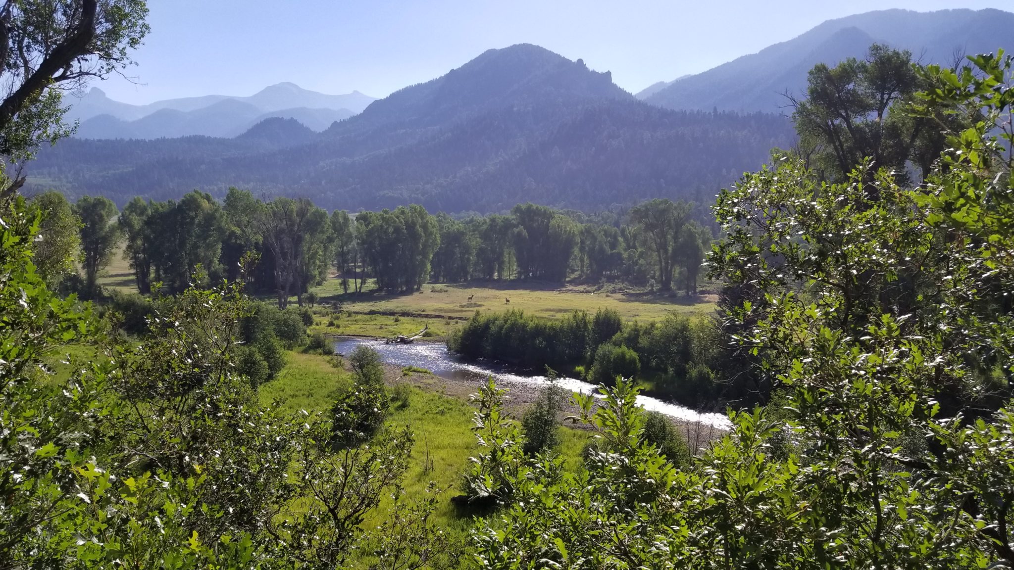 a stream on the Banded Peak Ranch, with mountains in the background