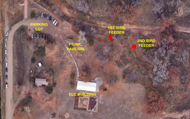 Aerial image of location of bird feeders