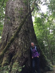 Linda Nagel and a Nothofagus tree on a field tour as part of an International Union of Forest Resource Organizations (IUFRO) uneven-aged silviculture meeting in Valdivia, Chile.