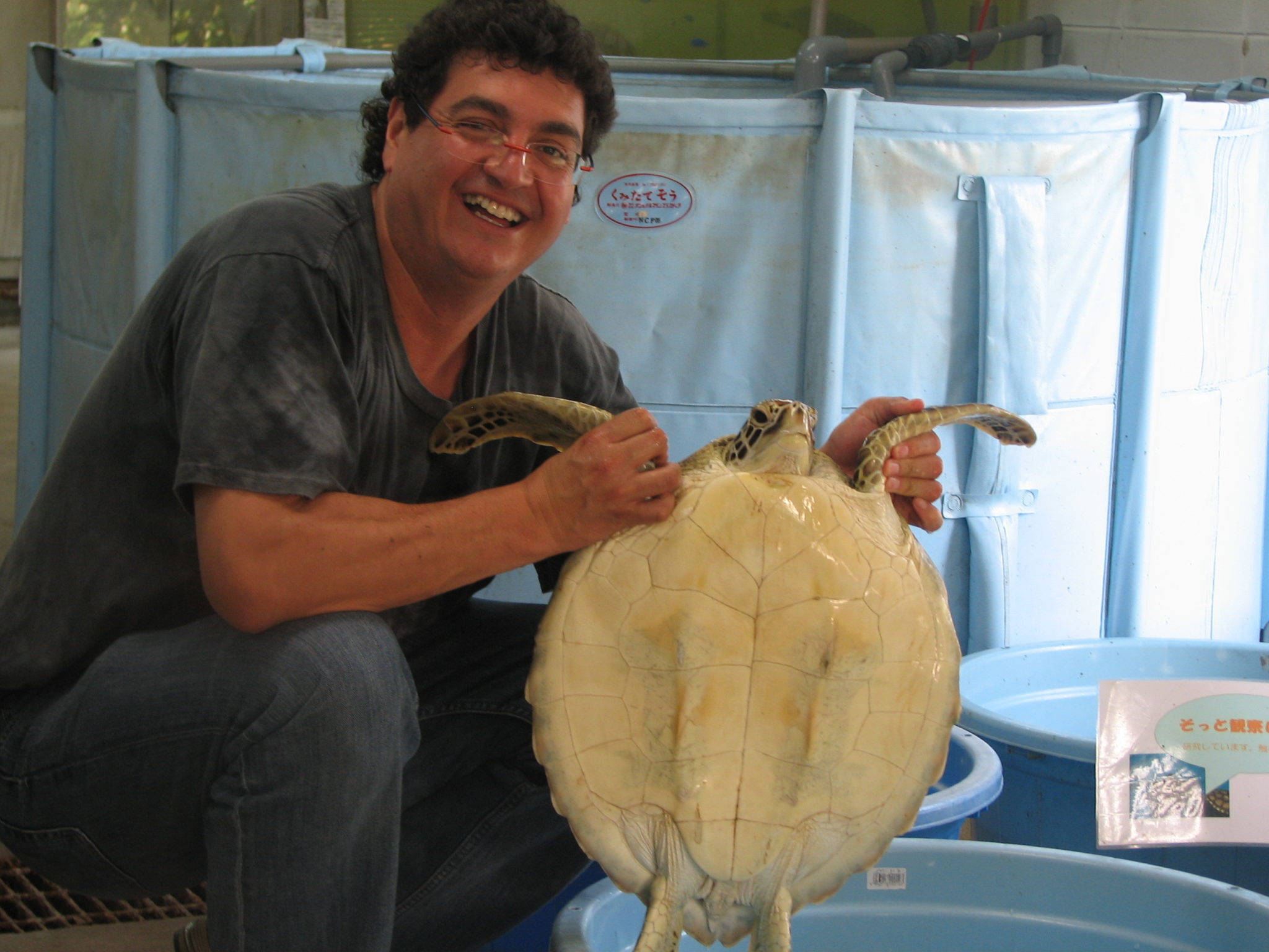 Dr. Aguirre holding a green turtle in Japan