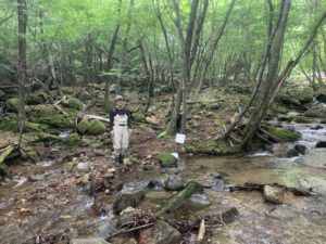 study co-author Yoichiro Kanno at the tributary