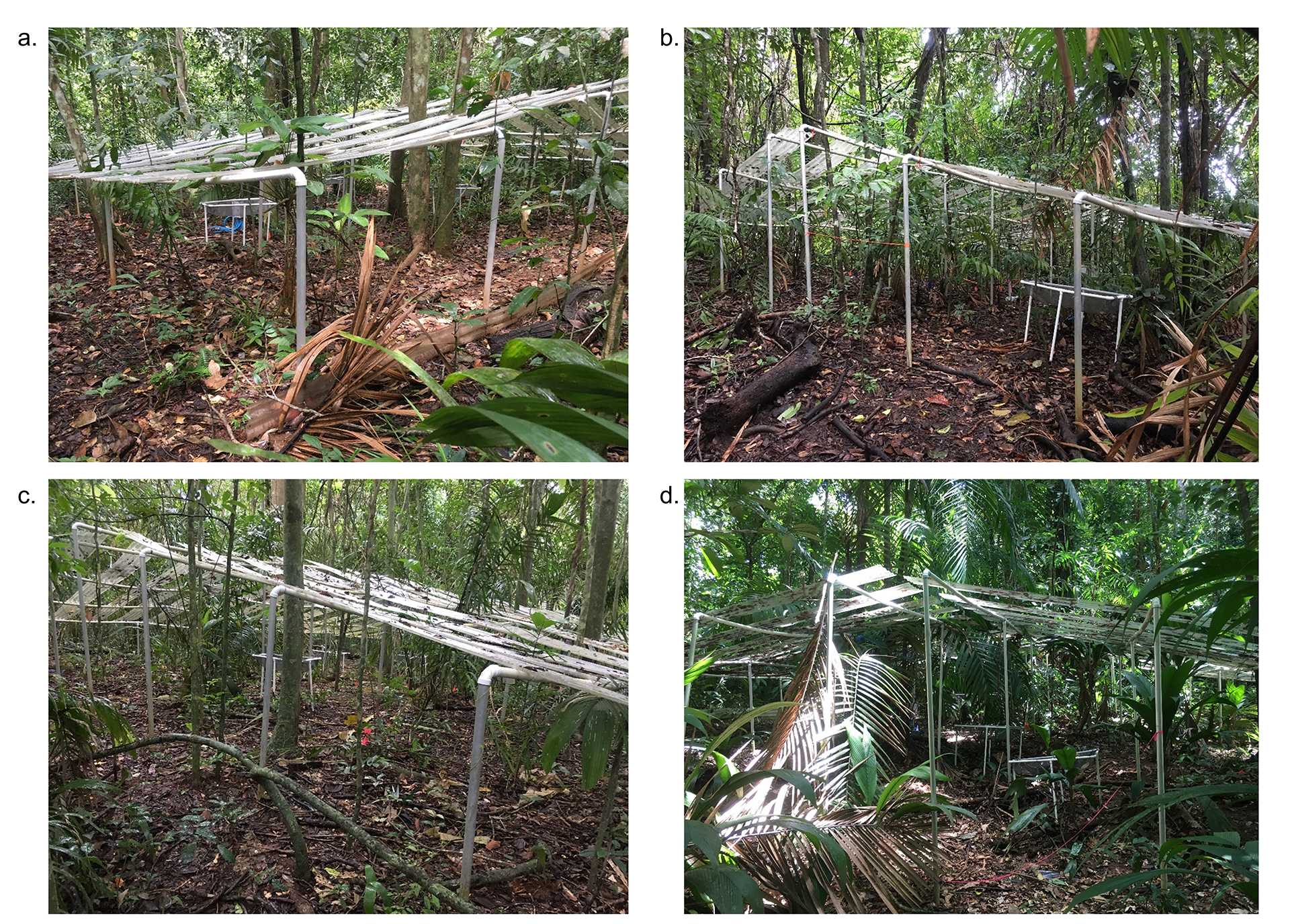 a figure with four photos of infrastructure in rainforests labeled a, b, c and d