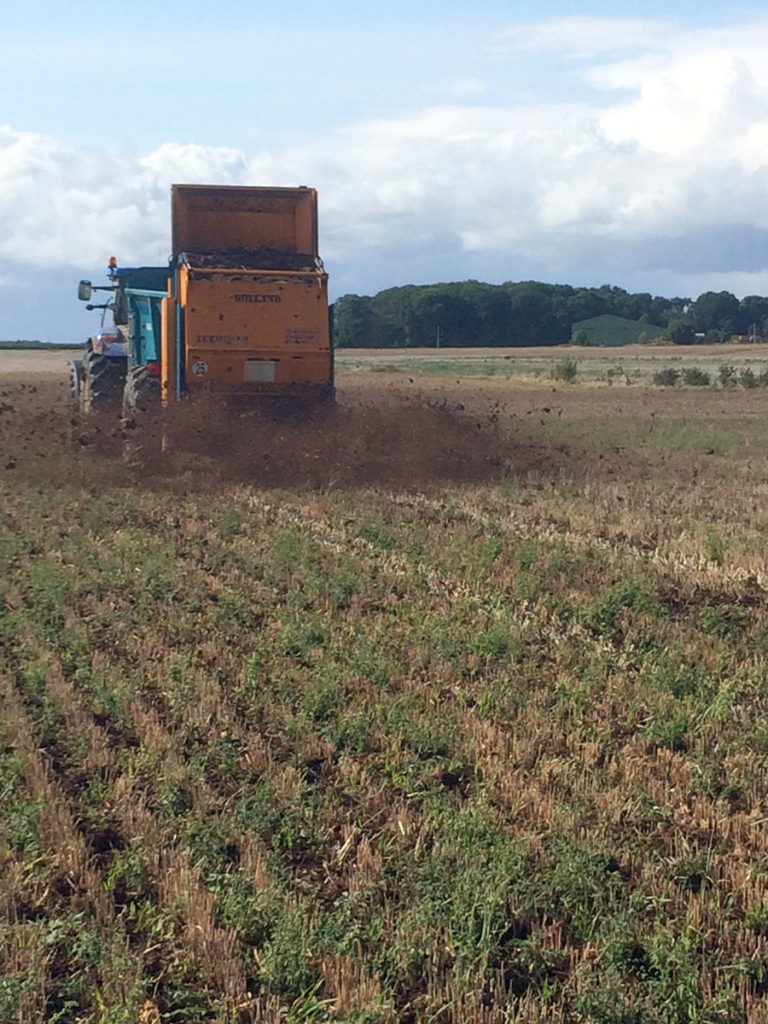 tractor spreads compost in a field