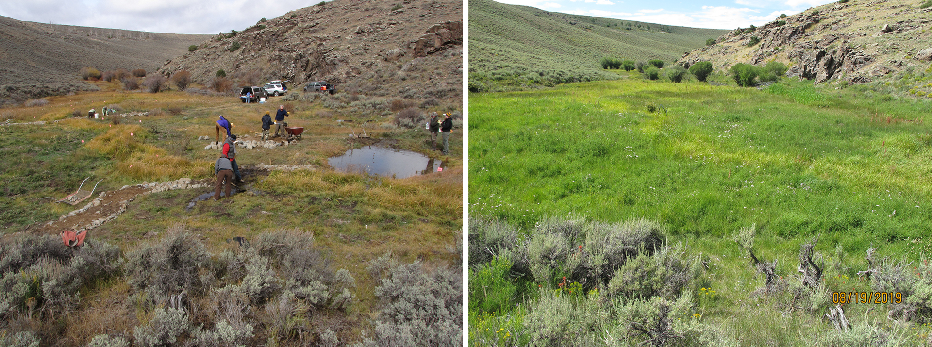 Side-by-side photos showing, at left, volunteers constructing a rock structure for wetland restoration, and, at right, a restored green pasture
