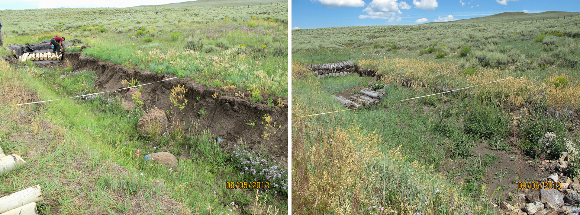 Side-by-side photos show a dry stream channel with a deeper incision at left and restored vegetation at right