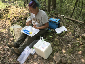A woman sits in a forest surrounded by scientific equipment and looks down at a tray with specimen samples.
