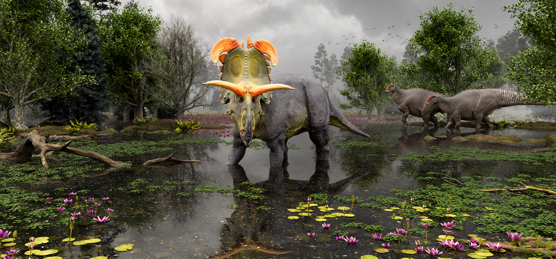 Colorful depiction of Triceratops-like dinosaur with a green face with orange horns and a gray body, standing in a swamp under a gray sky.